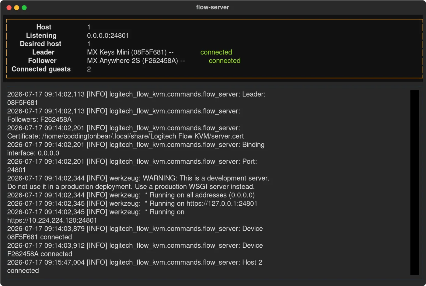 The flow-server terminal display: a status panel showing host, listening address, leader and follower state, above a scrolling log.